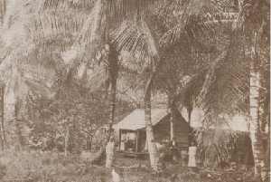 Zona exótica cercana a Puerto Limón, 1903